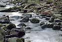 "Padr" creek - main link