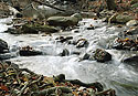 "Padr" creek - main link