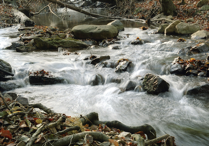 "Padr" creek - larger format