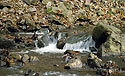 "Padr" creek - main link
