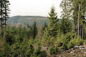 "Stony Hill" - main link