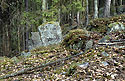 In the wood - main link
