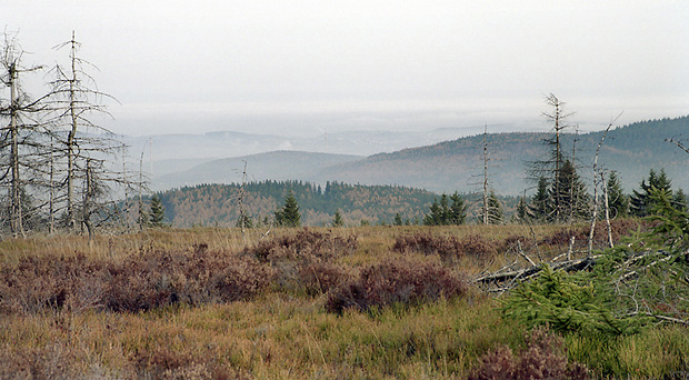 View to east - smaller format