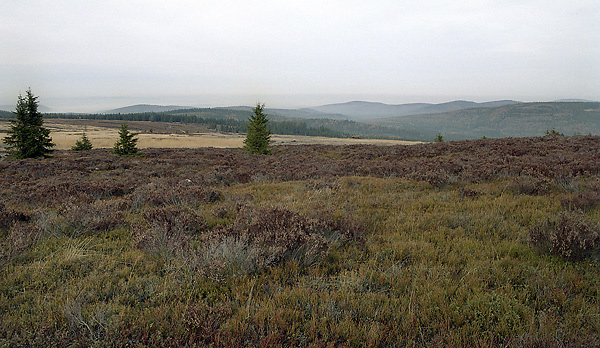 View to north - smaller format