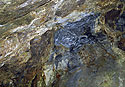 Stny jeskyn - hlavn odkaz