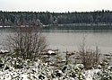 "Lz Lake" - main link