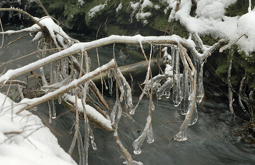 Icicles - larger format