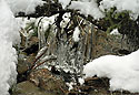 Icicles - main link