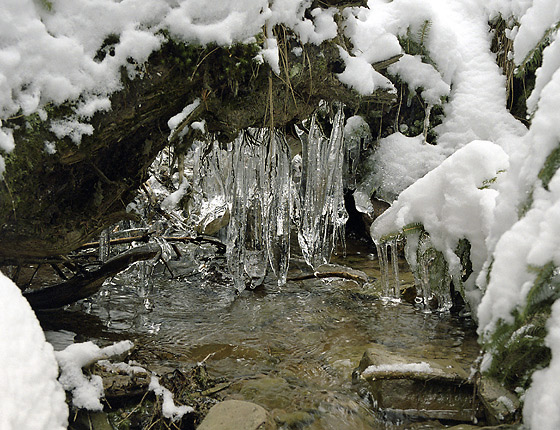 Icicles - smaller format