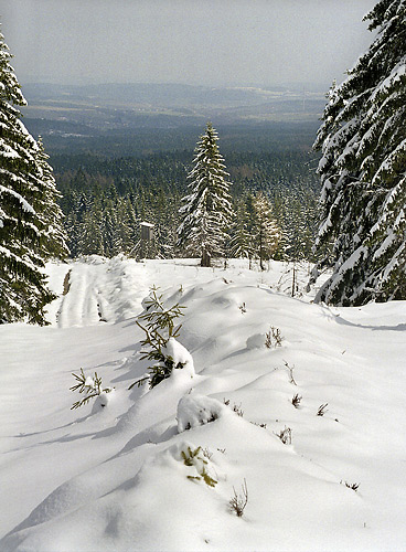 View to north-east - smaller format