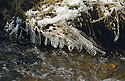 Rampouchy - hlavn odkaz
