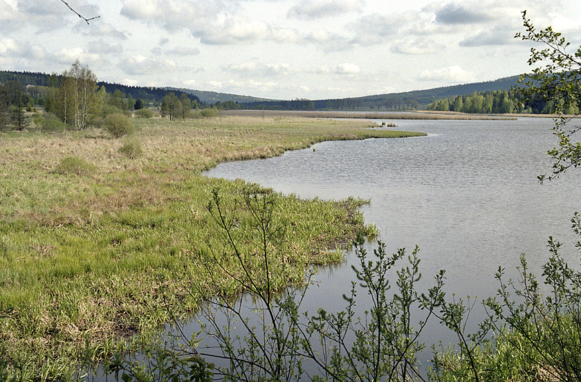 Dolej padrsk rybnk - vt formt