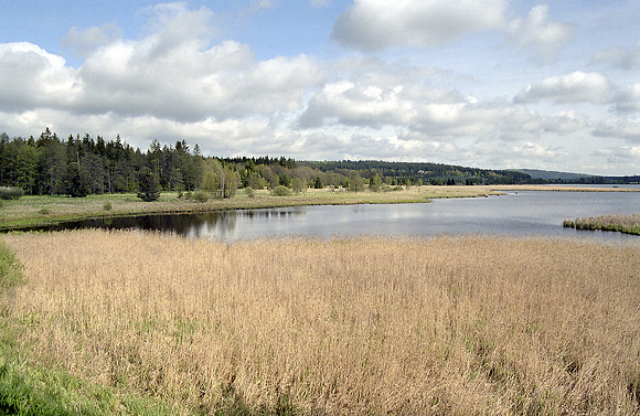 Dolej padrsk rybnk - men formt