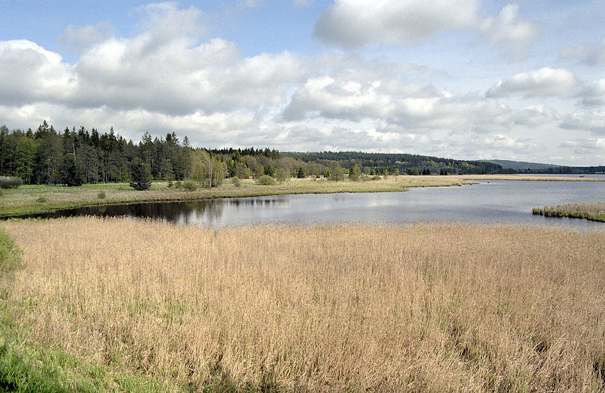 Dolej padrsk rybnk - vt formt