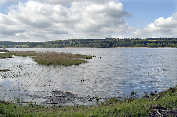 "Upper Padr Pond" - smaller format
