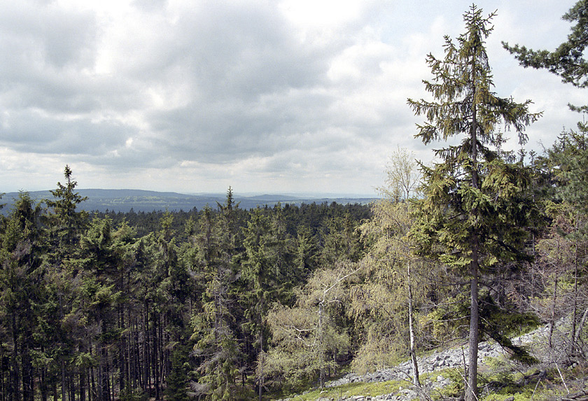 Lookout - larger format
