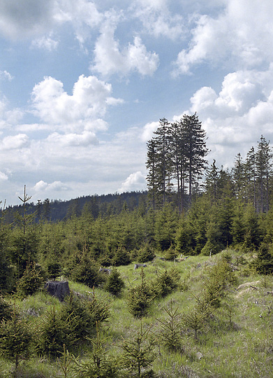 Near "Crown Hill" - smaller format
