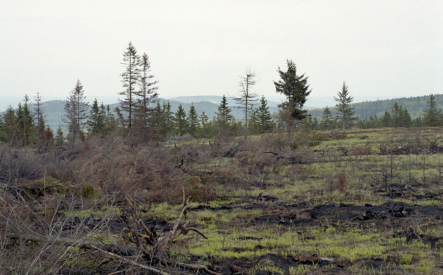 After fire - larger format
