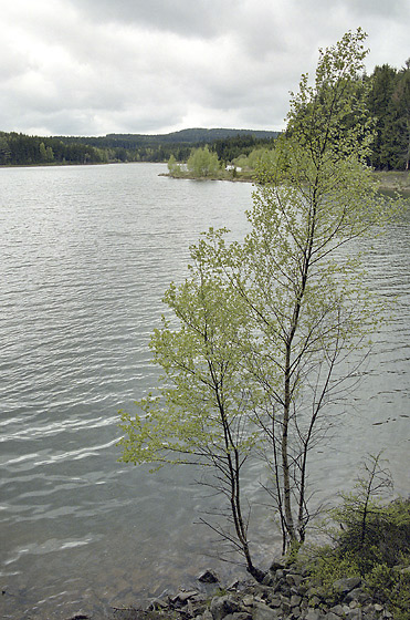 "Saw Lake" - smaller format