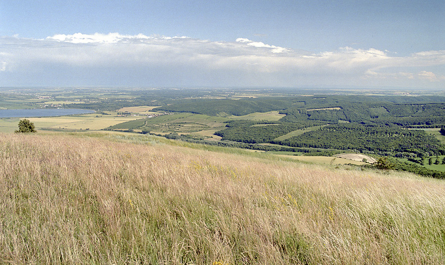 Jihomoravsk krajina - vt formt