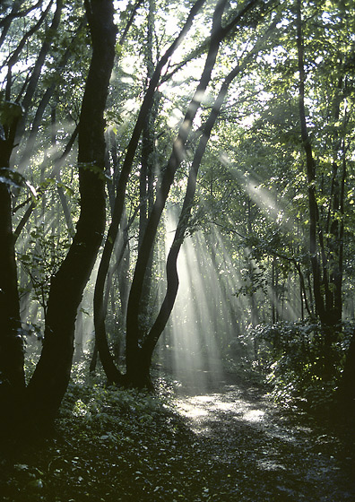 After storm - smaller format