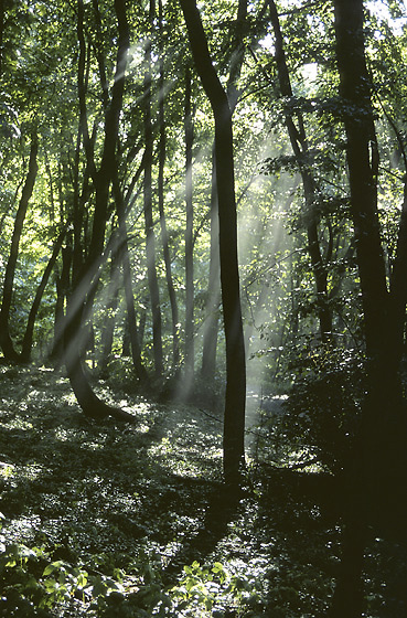After storm - smaller format