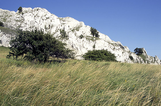 Limestone rocks - smaller format