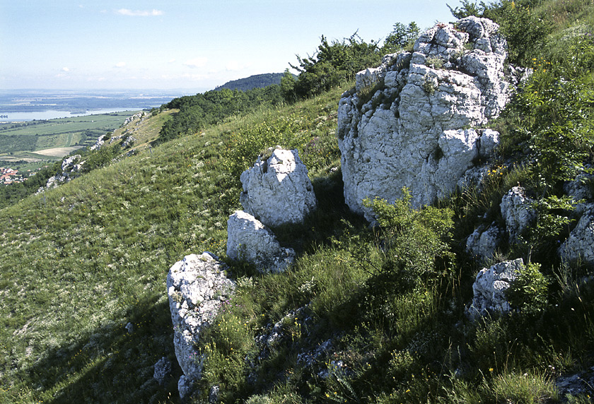 Rocks - larger format
