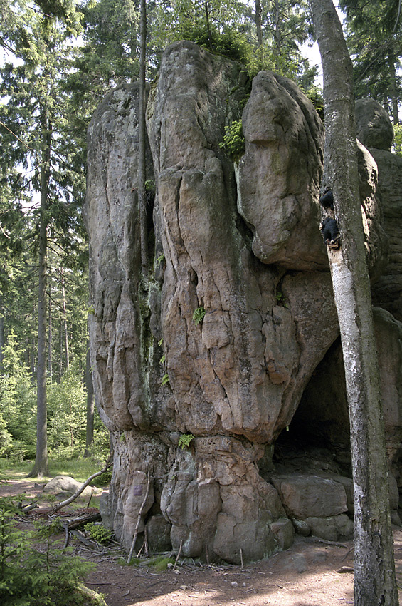 Ve skalch - vt formt