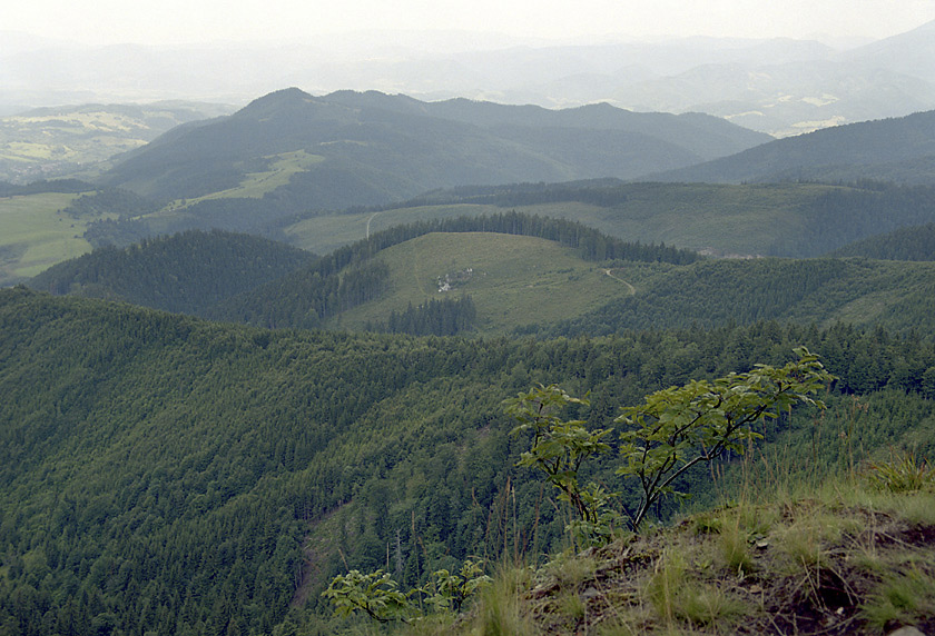 Pohled na severozpad - vt formt