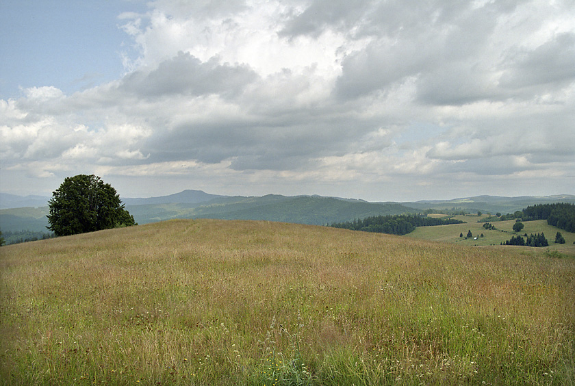 Pohled na vchod - vt formt