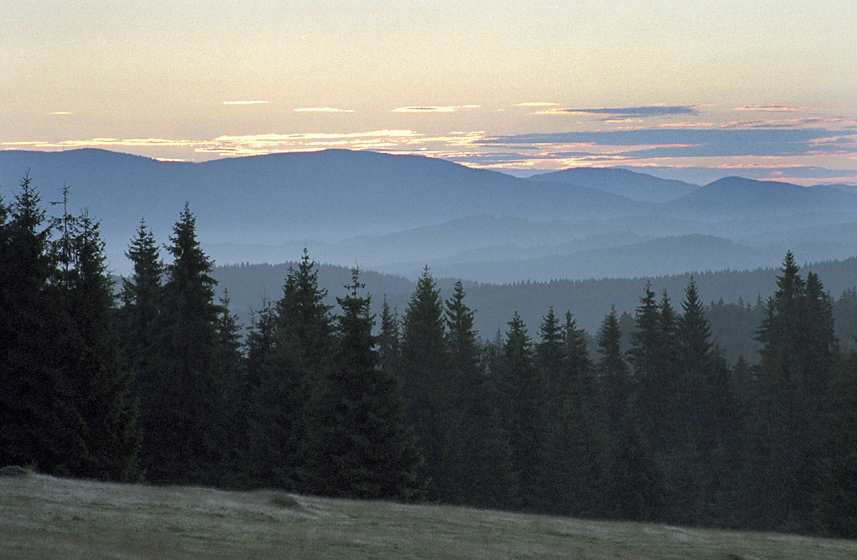 Svtn nad Rudohom - vt formt