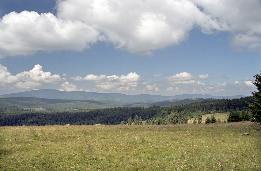 Pohled na Polanu - vt formt