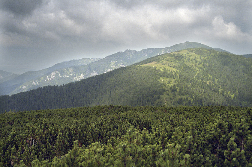 Pohled z Praiv na sever - vt formt