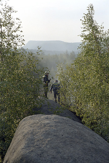 Haen ve skalch - men formt