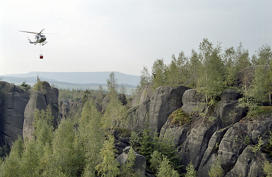 Haen ve skalch - men formt