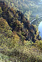On "Zvole cone" - main link