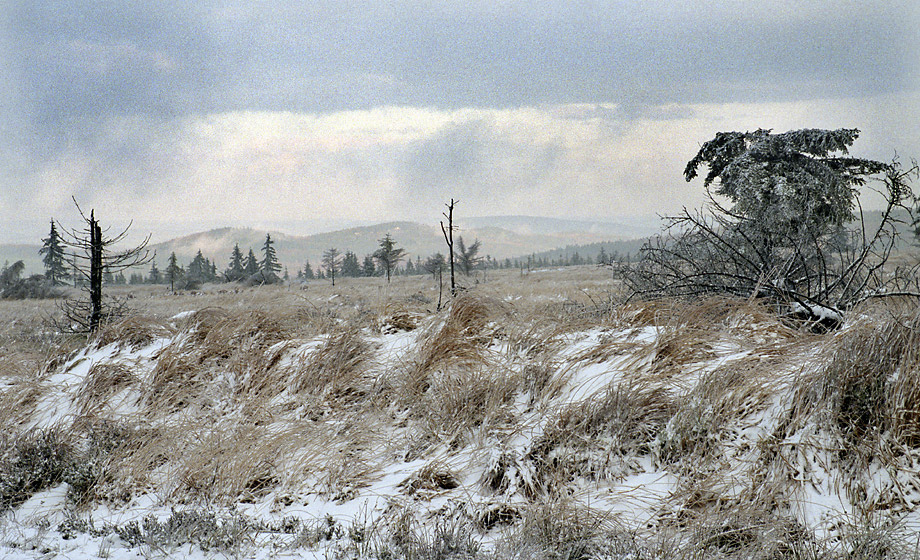 Vista - larger format