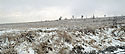 Moor on "Tok Hill" - main link