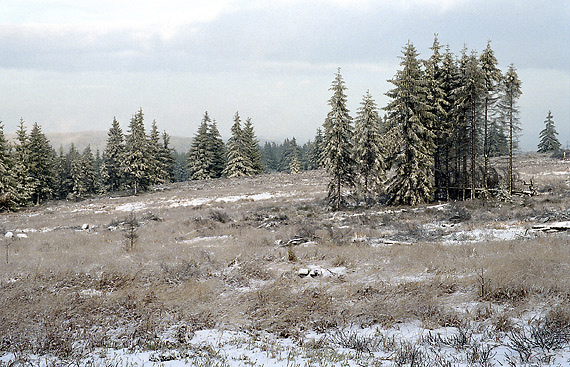 On "Tok" Hill - smaller format