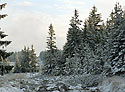 On "Tok Hill" - main link