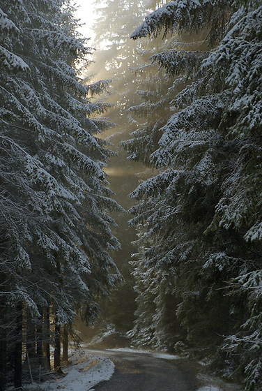 Light and shadow - smaller format