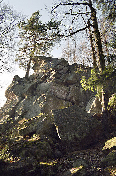 On "Furnance" hill - smaller format