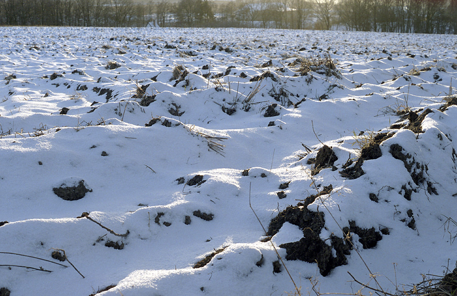 Ploughed land - larger format