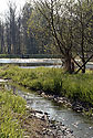 Pool in the "Silent Valley" - main link