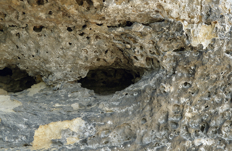 Porous rock - larger format
