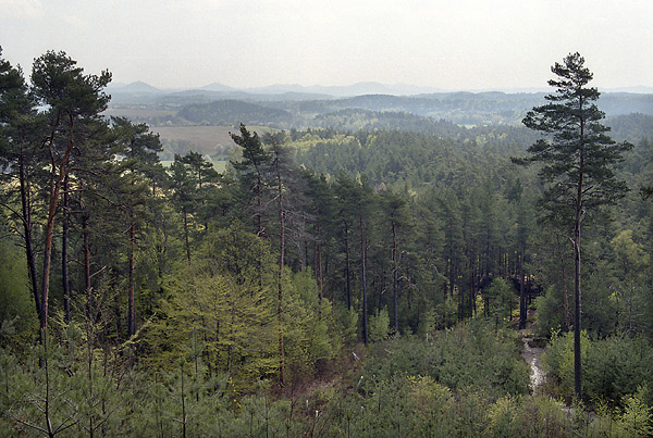 Vista from "Vlho" - smaller format