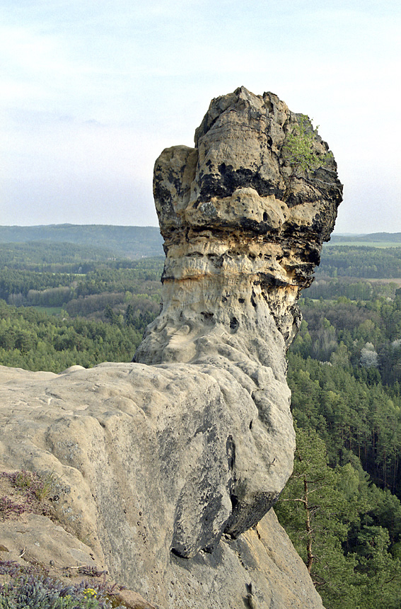 "ap" pillar - larger format