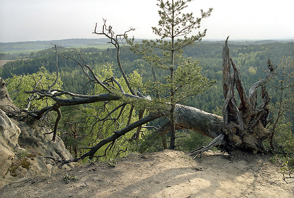 On the "ap" hill - smaller format