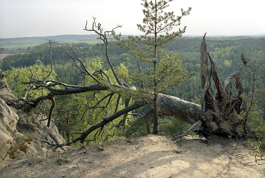 On the "ap" hill - larger format